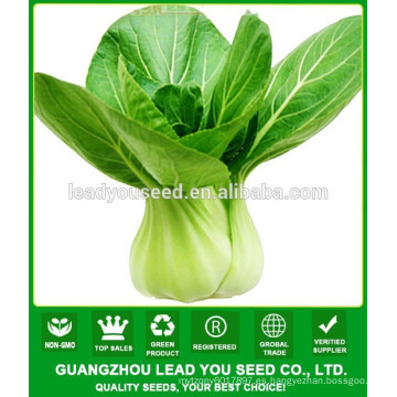 NPK06 Qinggu Buena calidad fábrica de semillas pak choi para el cultivo